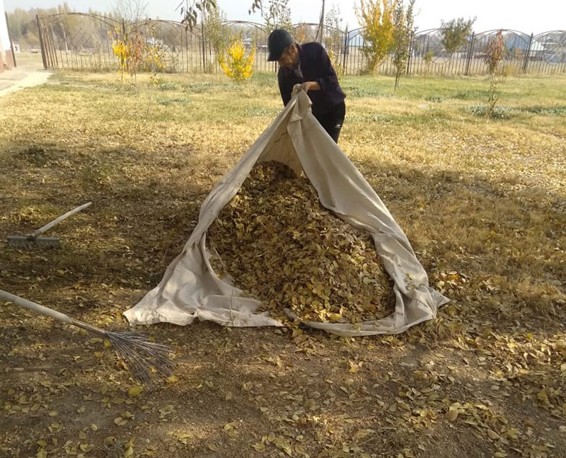 Кесенелердің аумағында тазалау жұмыстары жалғасуда