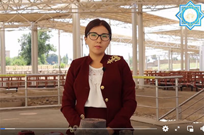 Берікқара қорымынан табылған жәдігерлер